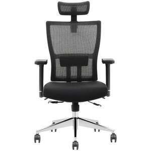 💺 כסא Ergotop Inbar שחור + תומך ראש