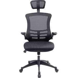 💼 כסא מנהלים Fizzio Proback 250 שחור