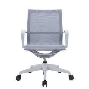 💺 כסא Fizzio Concept אפור בהיר