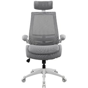 💼 כסא מנהלים Fizzio More אפור בהיר