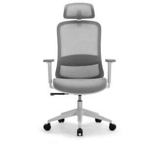 💼 כסא מנהלים Fizzio Spark אפור בהיר